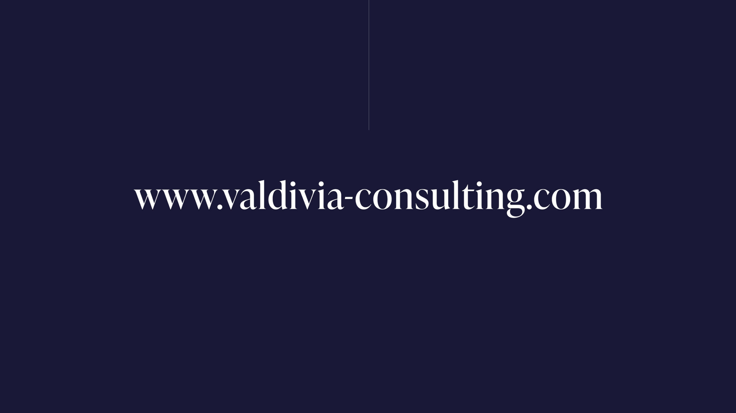 VALDIVIA Consulting Corporate Design, Corporate Design Agentur, Designagentur Frankfurt, Grafikdesign, Logodesign, Branding, Webdesign