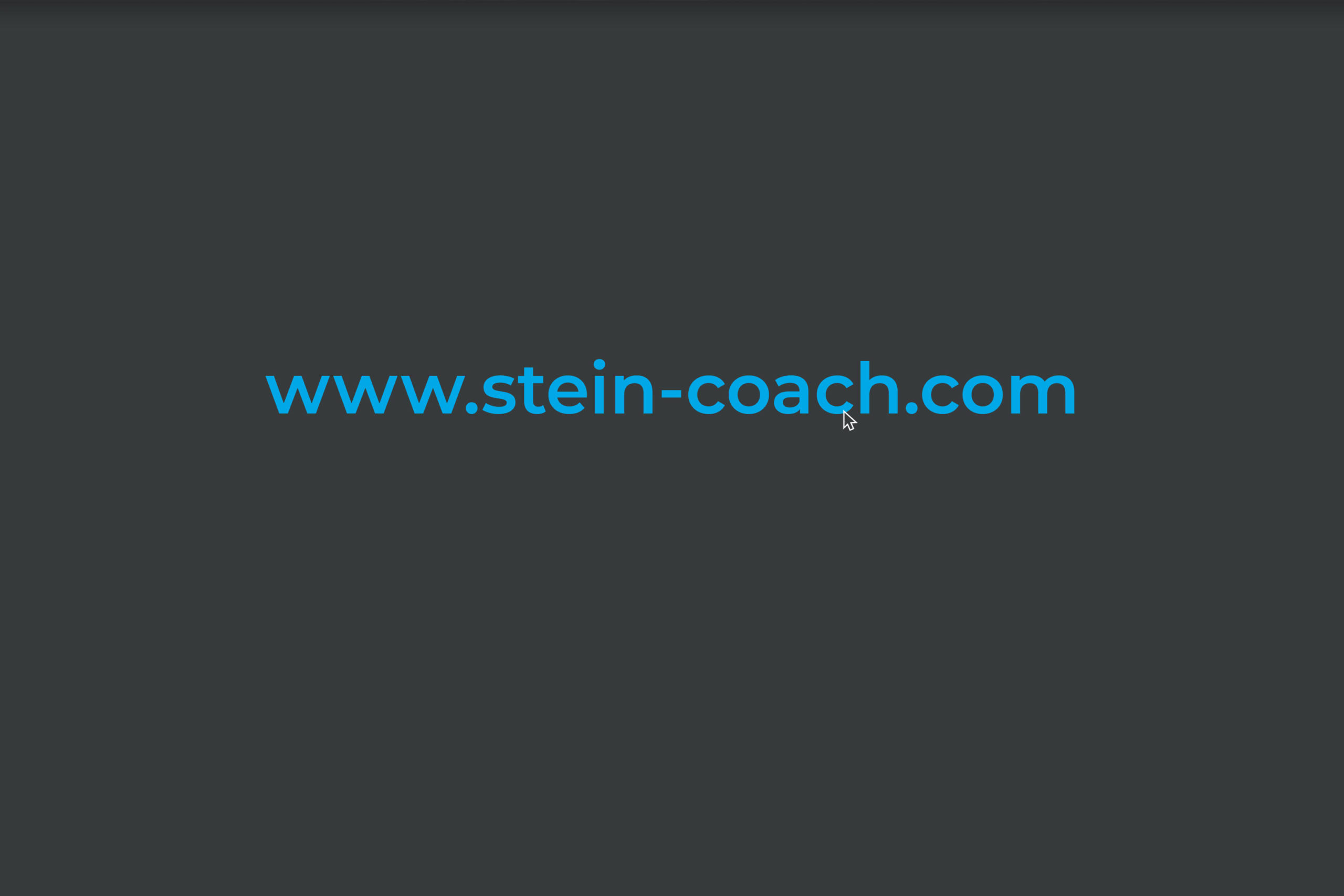 Stein Coaching, Corporate Design Agentur, Designagentur Frankfurt, Grafikdesign, Branding, Brand Design